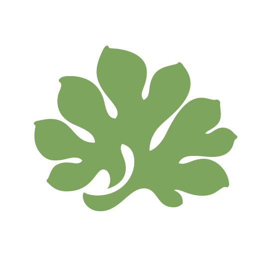 Green Leaves Illustration