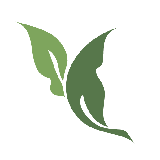 Green Leaves Illustration